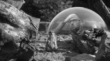 Still of Animal Antics by Patrick Goddard. A man in thought next to a meerkat.