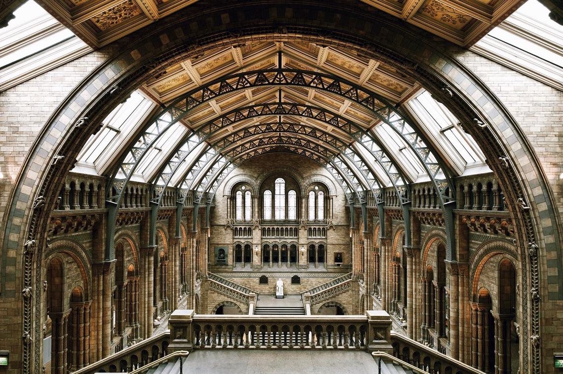 Inside of The Natural History Museum