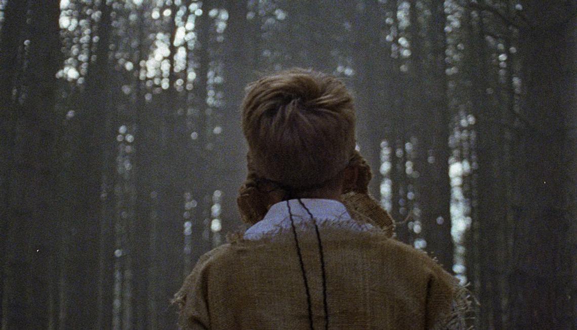 Still of Wren Boys. Back of a mans head in the woods